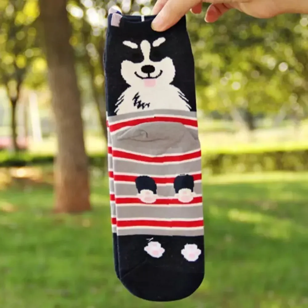 🆕Blue Dog Socks